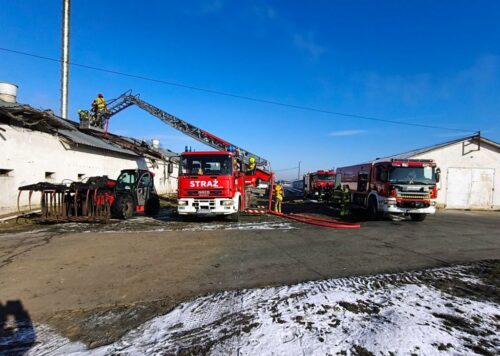 pożar, kurnik, pożar kurnika, akcja gaśnicza