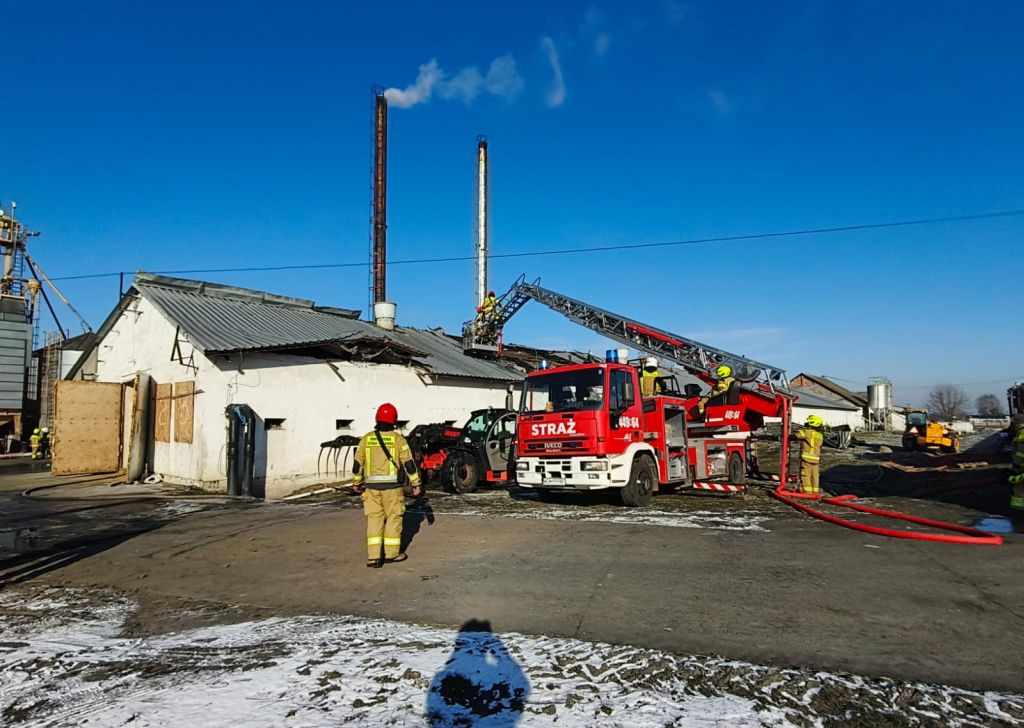 pożar, kurnik, pożar kurnika, akcja gaśnicza