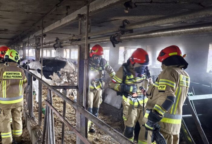 pożar, obora, ładowarka, pożar ładowarki