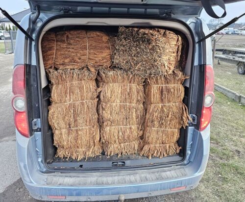 bus, tytoń, susz tytoniowy, nielegalny tytoń