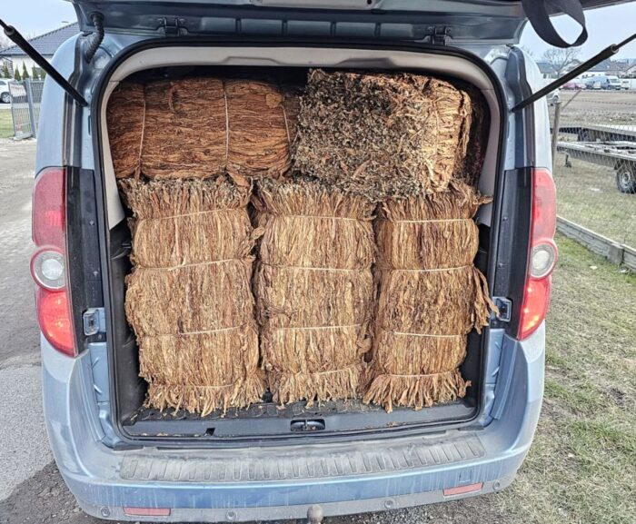 bus, tytoń, susz tytoniowy, nielegalny tytoń