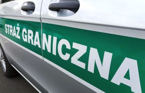 straż graniczna, nielegalna praca, pracownicy, przetwórstwo rybne