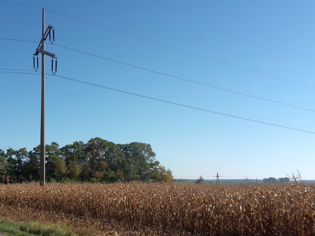 sejm, ustawa, ceny, energia, prąd, limit zużycia, rolnicy