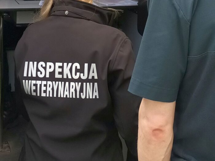 mrirw, pryszczyca, pryszczyca w niemczech, inspekcja weterynaryjna