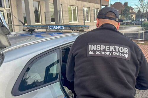 rpo, organizacje prozwierzęce, ustawa łańcuchowa, odbiory zwierząt