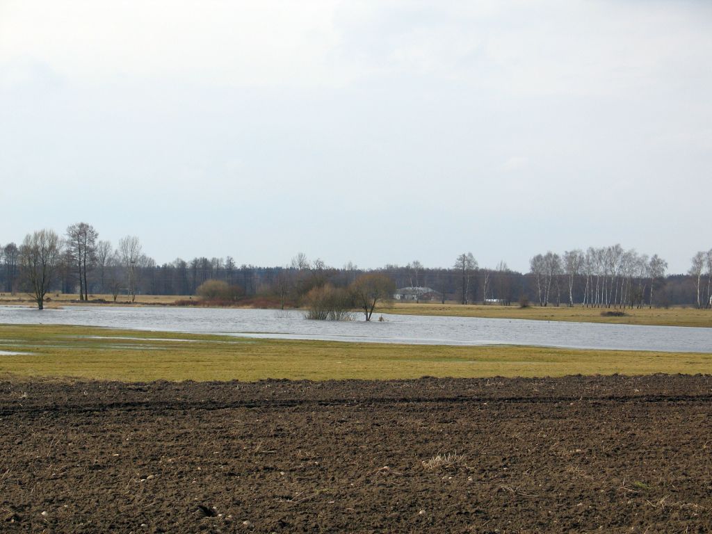 parlament europejski, europarlament, komisja, przepisy, odtworzenie przyrody, przyroda, rolnictwo