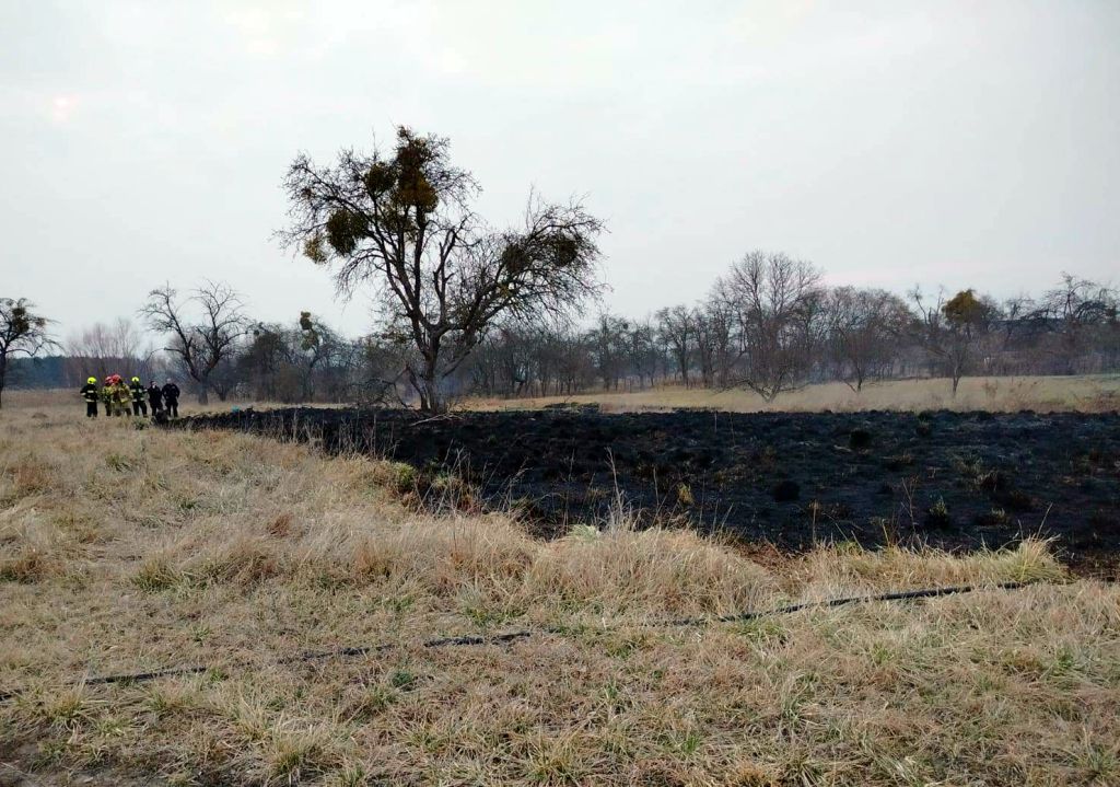 pożary traw, pożary nieużytków, wypalanie traw, śmierć mężczyzny
