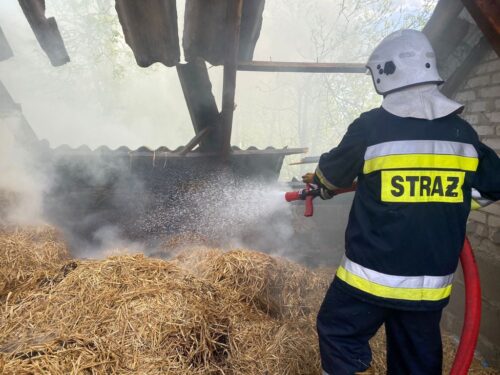 pożar, obora, spalone krowy, podpalaczka