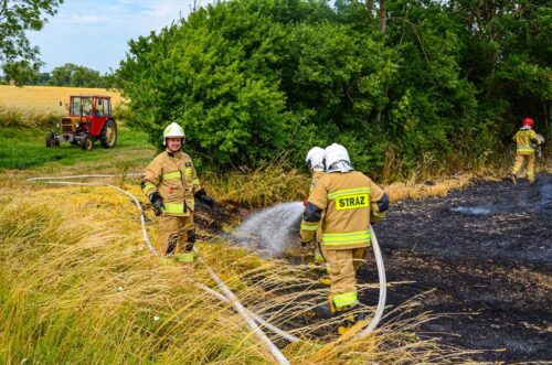 pożary traw, wypalanie traw, arimr, sankcje