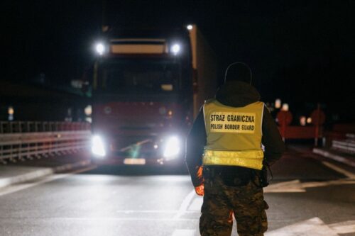 pryszczyca, bydło mleczne, bydło mięsne, trzoda chlewna, owce, kozy, toot and mouth disease, FMD, Aphtovirus