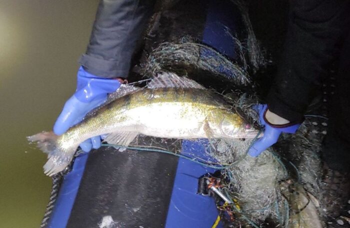 mrirw, rybacy, armatorzy, zaprzestanie działalności połowowej