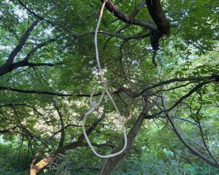 rolnicy, wieś, samobójstwa wśród rolników, stres