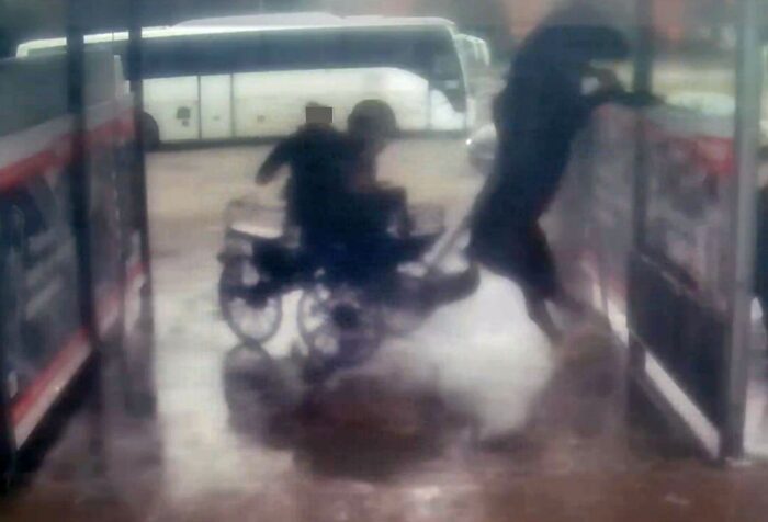 prokuratura, śledztwo, umorzenie, koń, myjnia