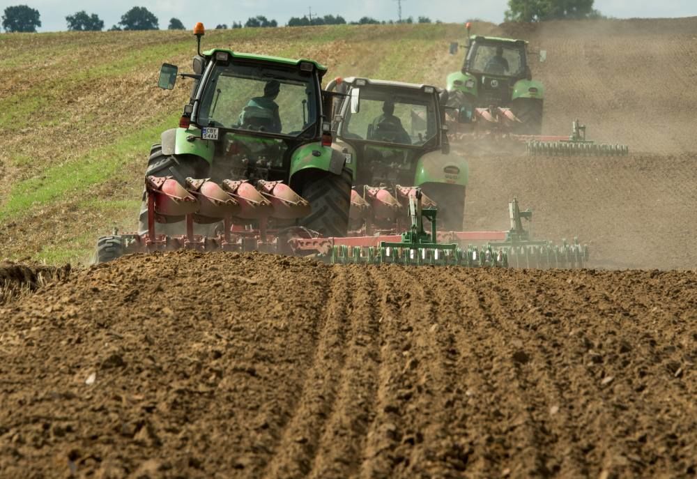 projekt rozporządzenia, grupa producentów, organizacja producentów, producenci rolni