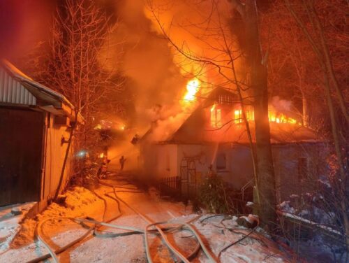 pożar, spalone zwierzęta, krowy, akcja gaśnicza