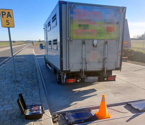 itd, dostawczak, waga pojazdu, przewóz cieląt