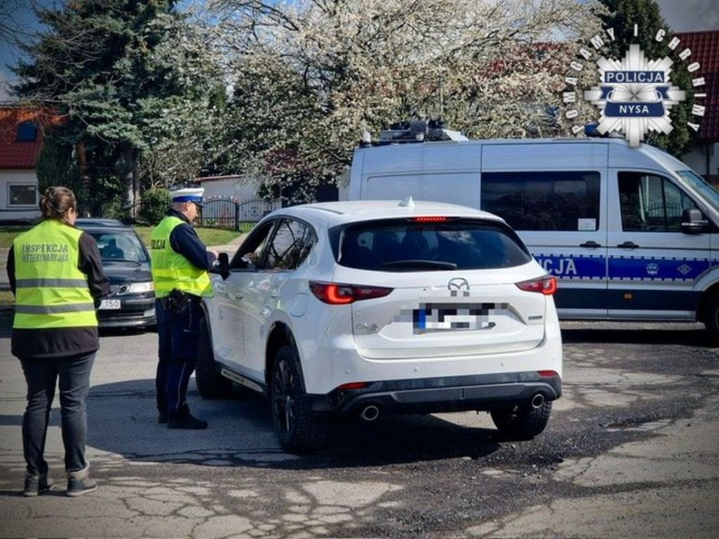 pryszczyca, policja, służby, kontrole