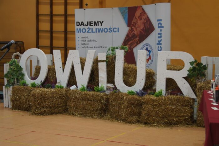 owiur, eliminacje, olimpiada