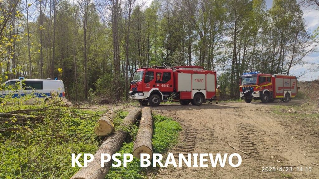 wypadek, prace leśne, wycinka drzew, ranny mężczyzna, ranny pilarz