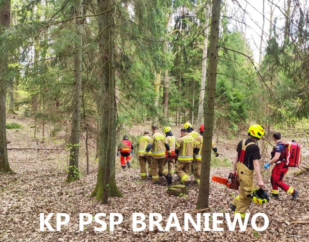 wypadek, prace leśne, wycinka drzew, ranny mężczyzna, ranny pilarz