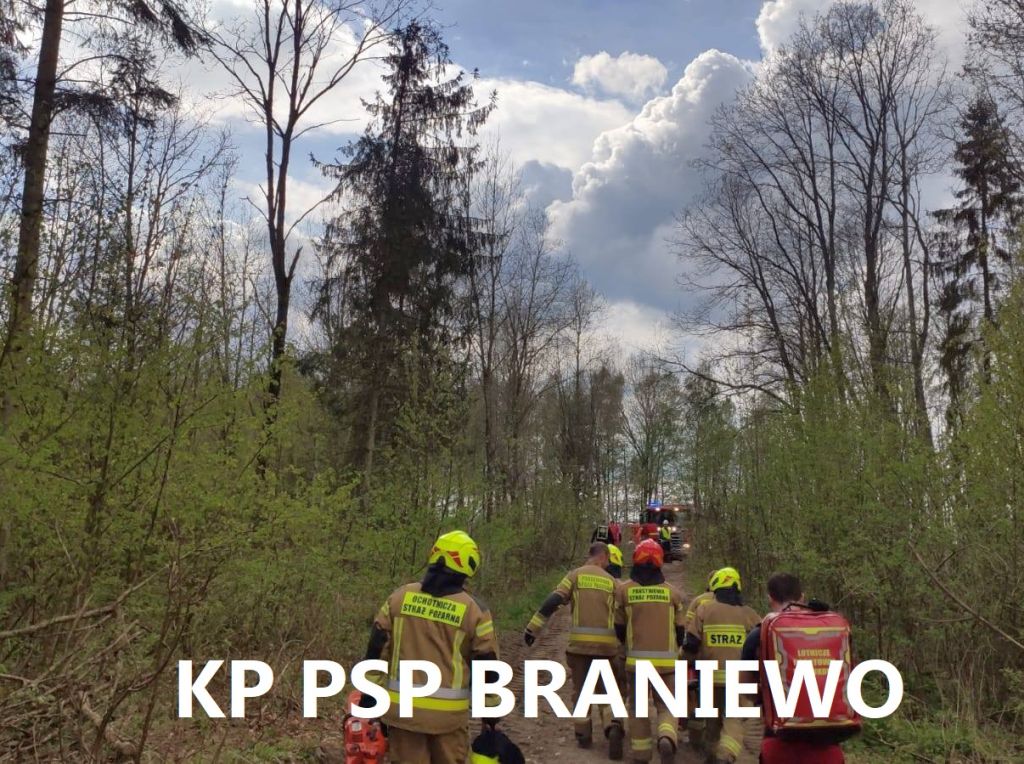 wypadek, prace leśne, wycinka drzew, ranny mężczyzna, ranny pilarz