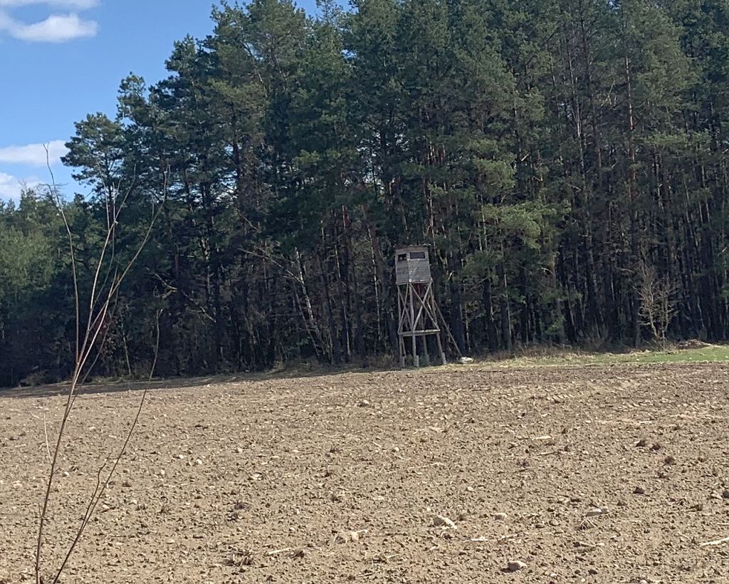 reforma łowiectwa, ptaki, zakaz polowania, ptaki łowne