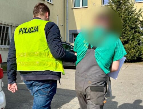 martwe zwierzęta, martwe bydło, martwe kury, zatrzymanie