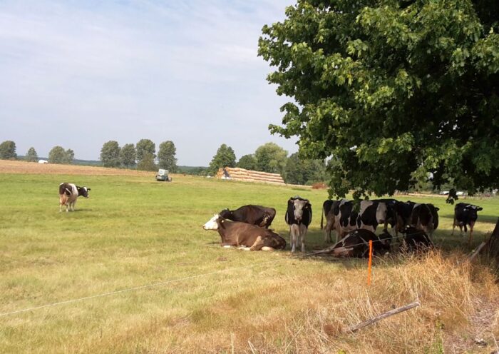 arimr, nabór, wnioski, dobrostan zwierząt