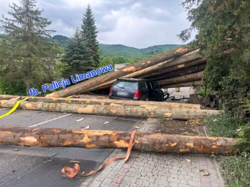 auto, ciężarówka, ciężarówka z drewnem, przewóz drewna