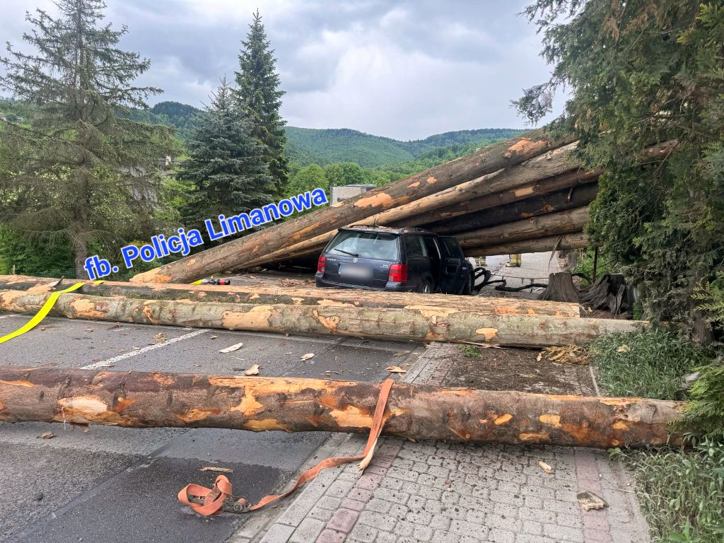 auto, ciężarówka, ciężarówka z drewnem, przewóz drewna
