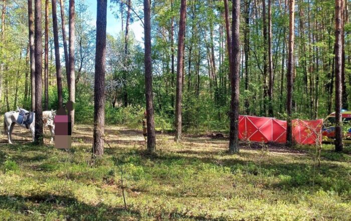 wypadek, jazda konna, upadek, śmierć dziewczynki