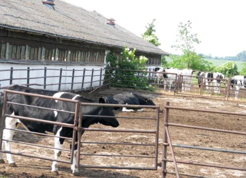 wir, mrirw, dobrostan zwierząt, kontrole