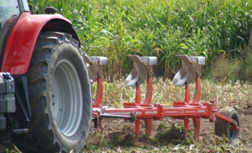 gus, metody uprawy, uprawa, orka