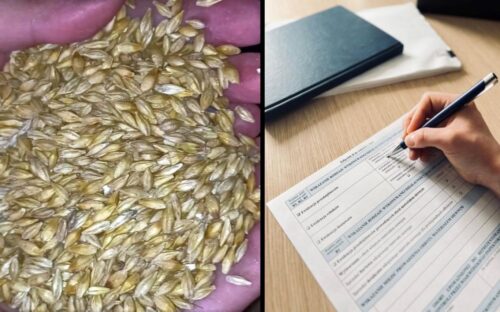 piorin, sprzedaż materiału siewnego, obrót materiałem siewnym, materiał siewny, ewidencja