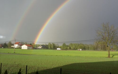 prognoza pogody, temperatura, opady, woda dla upraw