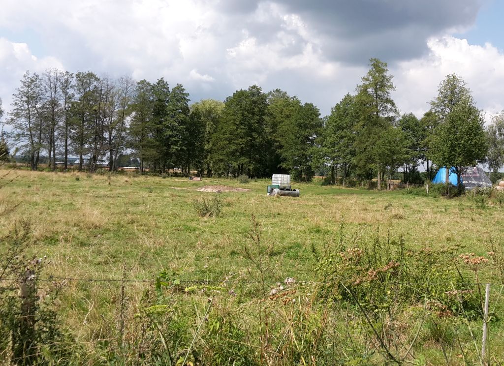 krir, interpretacja przepisów, trwałe użytki zielone, tuz