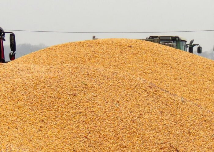 projekt rozporządzenia, rekompensaty, zapłata za płody rolne, skup, niewypłacalność skupu, fundusz ochrony rolnictwa