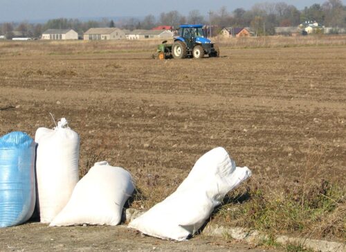 arimr, materiał siewny, dopłaty do materiału siewnego, dopłaty do nasion