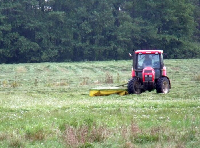 mrirw, status gruntów, klasyfikacja gruntów, grunty orne, trwałe użytki zielone