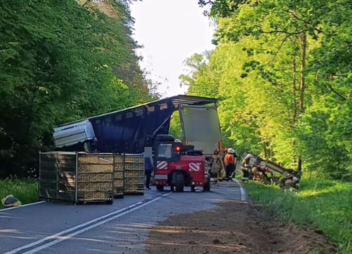 zdarzenie drogowe, ciężarówka, drób, kurczęta