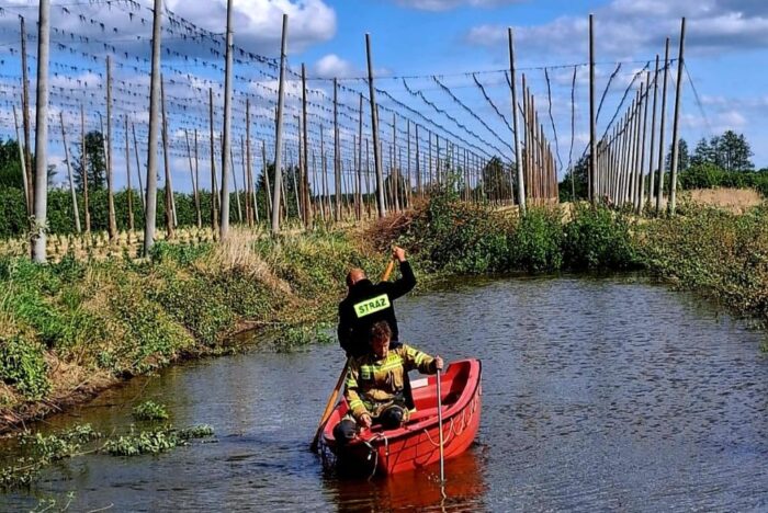 sad, gospodarz, odnaleziona w sadzie, poszukiwania