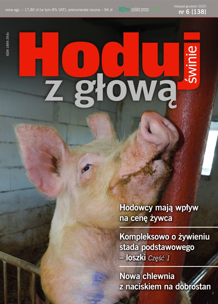 Hoduj z Głową Świnie