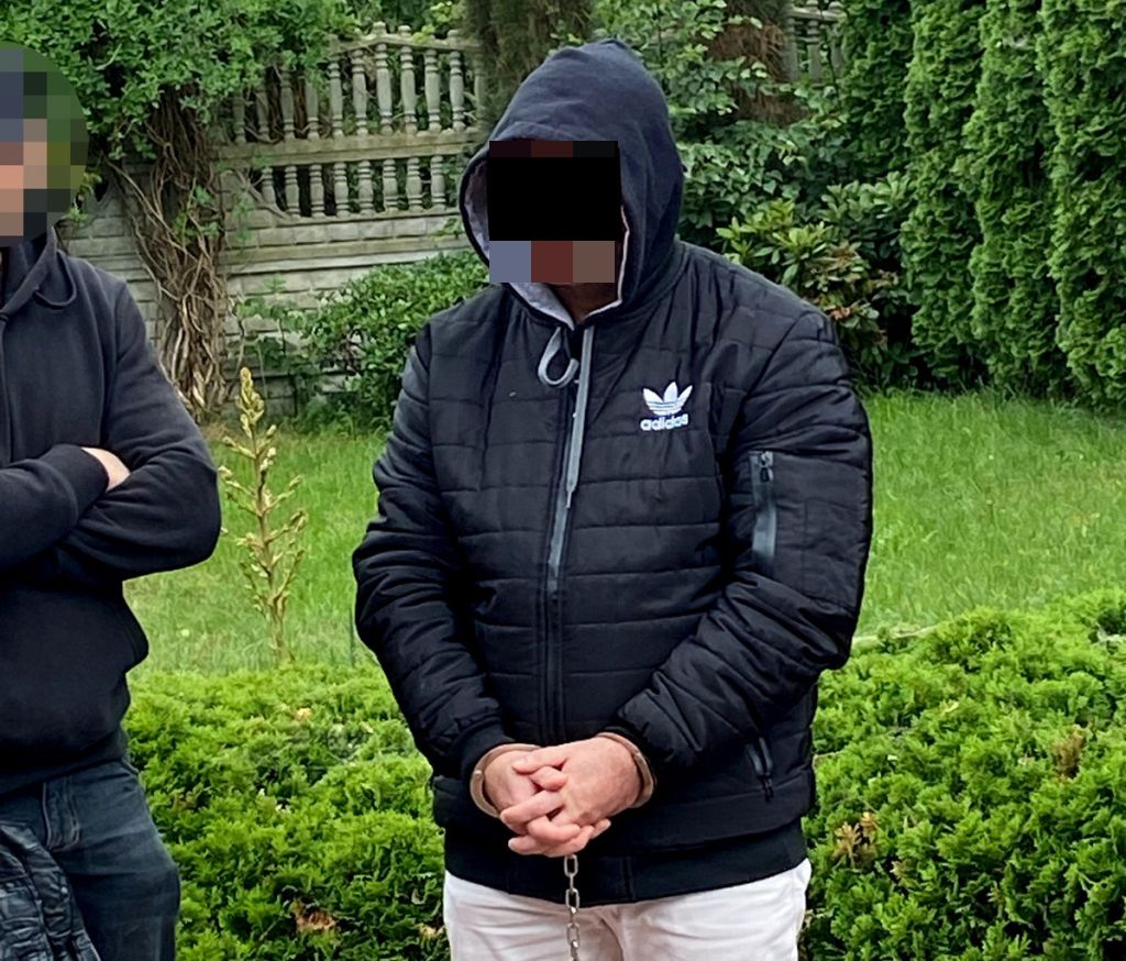 zatrzymanie, alpaki, hodowla, zwierzęta
