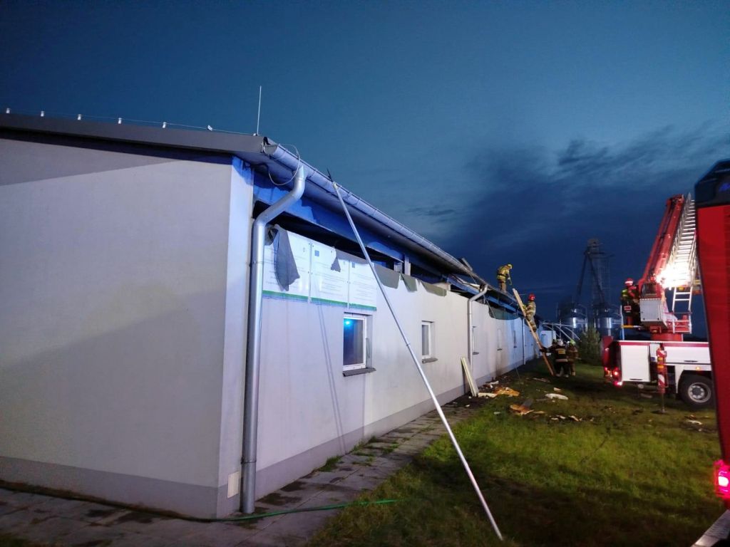 pożar, budynek inwentarski, chlewnia, prosięta