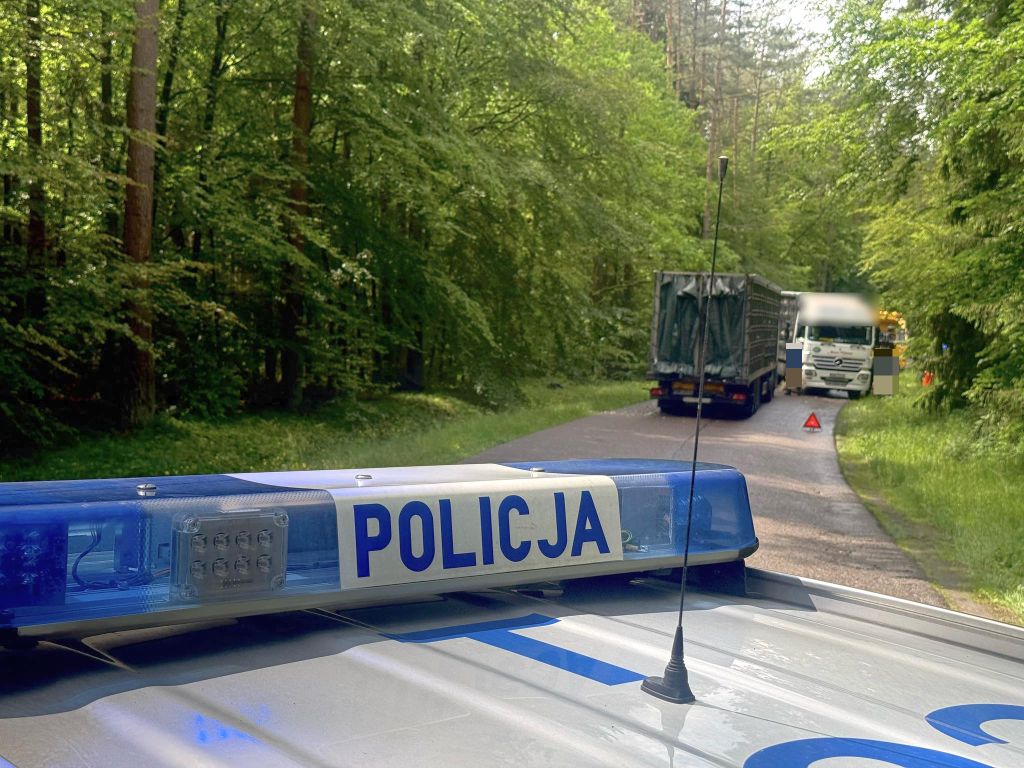 zdarzenie drogowe, ciężarówka, drób, indyki