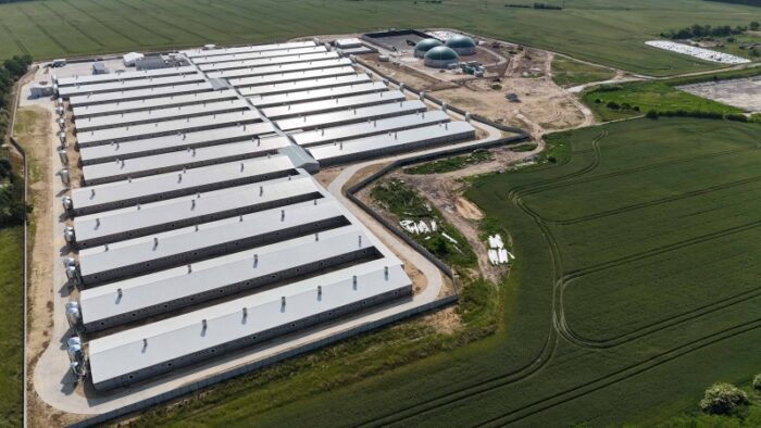 Grupa Gobarto, Agro Gobarto, Gobarto 500, Gobarto Tucz, tuczniki, warchlaki, prosięta, trzoda chlewna, od pola do stołu