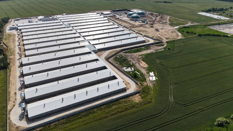 Grupa Gobarto, Agro Gobarto, Gobarto 500, Gobarto Tucz, tuczniki, warchlaki, prosięta, trzoda chlewna, od pola do stołu