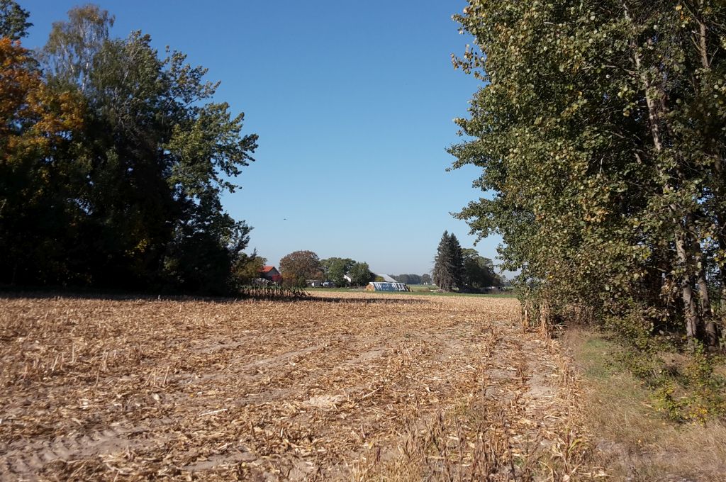 arimr, inwestycje leśne, pomoc, wnioski