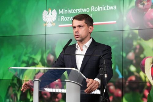 wiceminister rolnictwa, kołodziejczak, minister rolnictwa, siekierski
