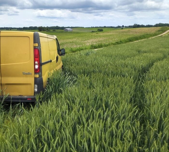 auto, zniszczona uprawa, zasiewy, uprawa